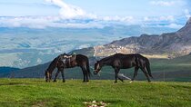 2 Hour Private Horse Ridding Tour in Tbilisi
