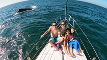 4-Hour Private Whale Watching in Puerto Vallarta