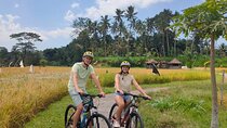 Bali Cycling Rural Tour Including Hotel Pick up