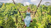 Bali: Ubud Rice Terraces,Swing, Monkey Forest Private Tour