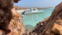 Snorkeling trips to Daymaniat Island 