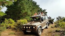 Eastern Madeira Sustainable Tour in a 4x4 with Lunch