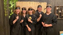 Ninja Experience in Takayama - Basic Course