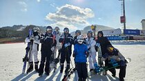 Yongpyong Ski Resort Shuttle from Seoul (Lesson & Package Option)