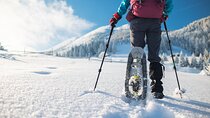 Adventure on Mount Etna: Experience the Magic of Snow with Snowshoes
