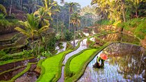 Full Day Private Tour Best of Ubud