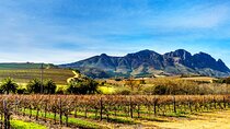Wineland Wonders Private Tour: Cape Town’s Exquisite Journey