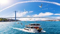 Private Tour All in One Day Istanbul with Bosphorus Cruise