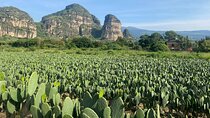 Tour to Discover Tlayacapan, the other side of Tepozteco