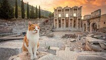 Private Tour Ephesus Full Day from Kusadasi