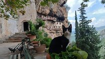 Mountain Villages of Peloponnese, Monasteries and Lousios River Private Day Trip