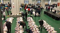 Morning Market Adventure: Toyosu & Tsukiji with Tuna Auction