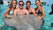 Small Group 7 Mile Beach Stingray City and Coral Gardens Tour