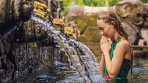 UBUD Spring Temple, Waterfall, Rice Terraces Private Tour