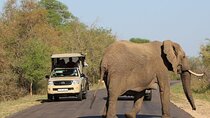 2-Days Kruger Park Safari & Panorama Route Tour from Hazyview