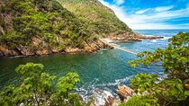 Epic Tsitsikamma Private Tour: Zipline & Storms River Mouth