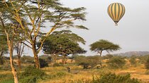 Affordable 3-Day Safari to Serengeti & Ngorongoro Crater