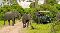 Chobe Safari Day Trip – From Livingstone