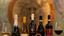 Private tasting of Luxury wines with artichoke in Rome