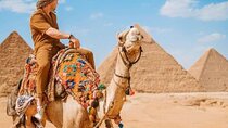Shared Tour Trip to Cairo from Hurghada without Admission Tickets