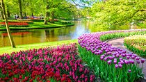 Private Tour Tulip Gardens (Keukenhof) and Dutch highlights 