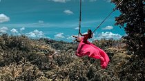 Ubud Highlight Private Charter with Jungle Swing