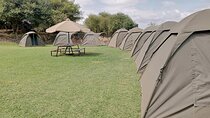 2 Day Mount Meru Private Camping Tour from Arusha