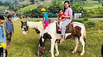 Private Pony Ride in Pokhara
