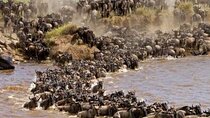12 Days Kenya and Tanzania Tour