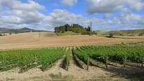Florence–Siena Luxury Transfer via Chianti Wine Country