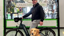 Comfort Electric Assist Bicycle Rental in Boston