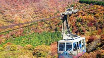 1 Day private Tour in Hakone with Hakone Freepass & Train Ticket