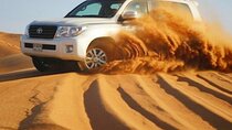 Dubai Morning 4 Hrs Safari Sharing Jeep Sand Boarding &Camle Ride