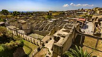 Vesuvius & Herculaneum Small Group Tour from Naples