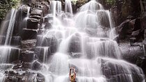 Ubud Waterfalls, Rice Terrace & Jungle Swing - Private Tour 