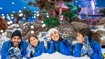 Snow Abu Dhabi Admission Ticket