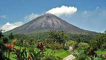 Hanging Bridges + Volcano Walk + La Fortuna Waterfall