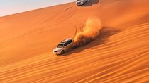Dubai: Desert Safari, Quad Bike, Camel Ride with VIP Majlis 