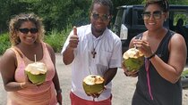 Private Full Day Holland Bamboo and Rum Experience in Jamaica
