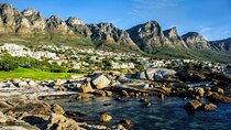 Private Cape Peninsula Group Tour In Cape Town South Africa
