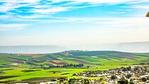 Full-Day Private Galilee & Golan Heights Wine Tour from Tel Aviv