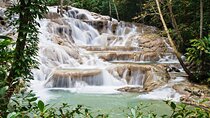 Dunn's River Falls Private Tour from Montego Bay