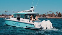 2 Hour Private Luxury Speedboat in Mission Bay