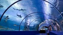Antalya Aquarium and Face to Face Wax Museum Ticket