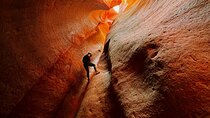 East Zion 2.5 Hour Slot Canyon Canyoneering UTV Tour