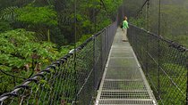 The Mistico Hanging Bridges