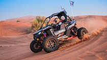1 Seater Dune Buggy Desert Safari, Camel Ride and Sandboarding