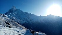Private Tour 5 Day Mardi Himal Trek