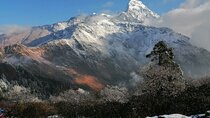 Pokhara Private Tour 2 Day Poon Hill Short Trek