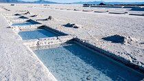 From Salta: Two full-day tours of Cafayate and Salinas Grandes